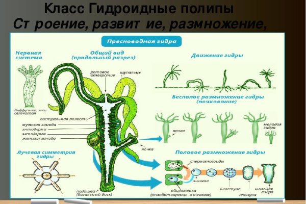 Кракен зеркало рабочее kr2web in