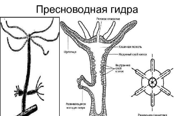 Кракен современный маркетплейс